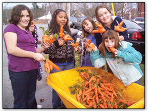 Carrots in a wheelbarrow