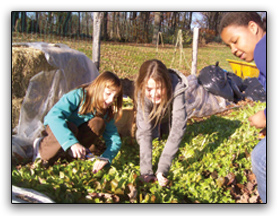 Girls cutting lettuce