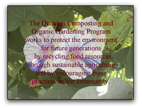 quabbin statement